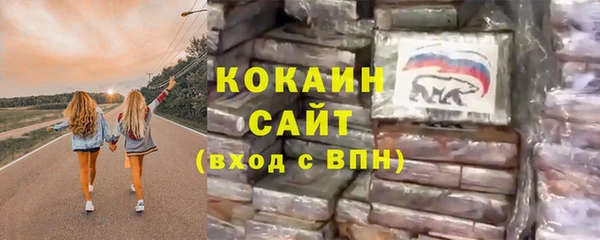 гидра Михайловск
