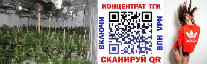 darknet Telegram  Нижняя Салда  ТГК вейп 