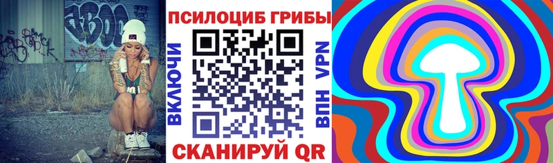 наркотики  Нижняя Салда  Псилоцибиновые грибы MAGIC MUSHROOMS 